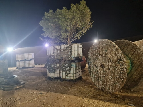 פיינטבול כלנית